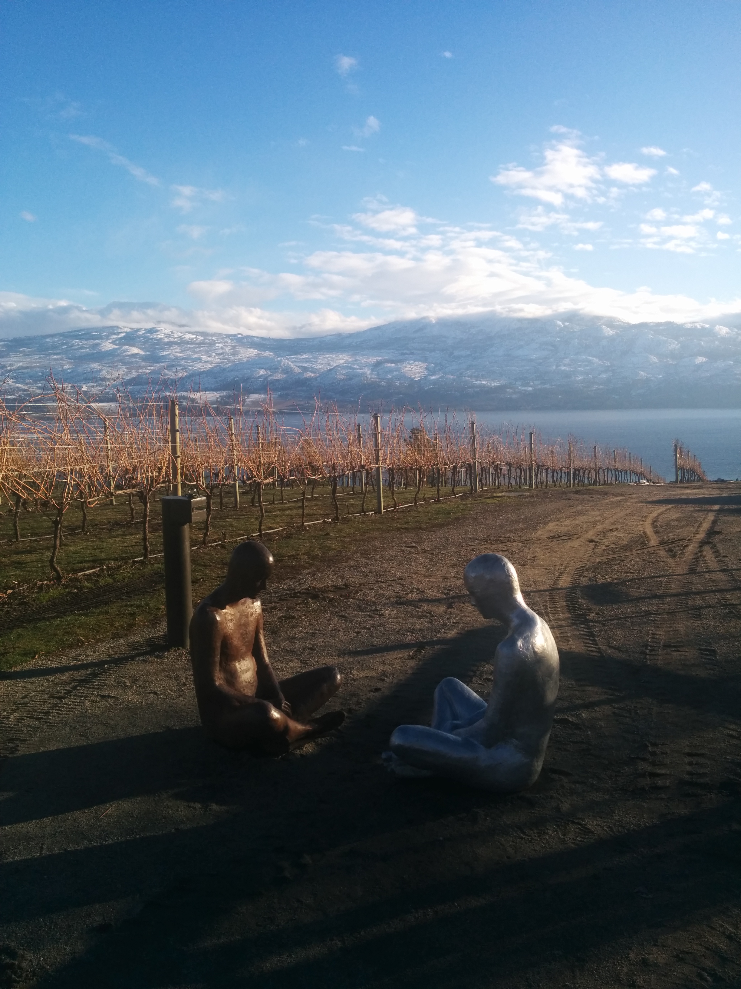 Okanagan Vineyards